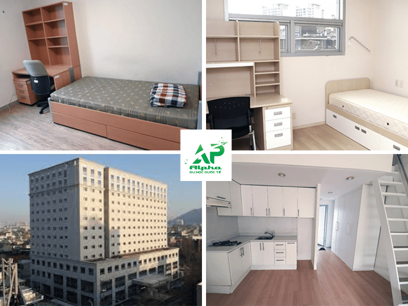 Ký túc xá trường Đại học Sejong