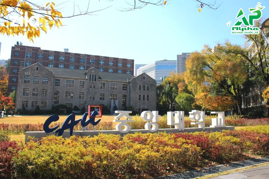 Tổng hợp các trường Đại học ở Seoul Hàn Quốc Đại học Chung Ang