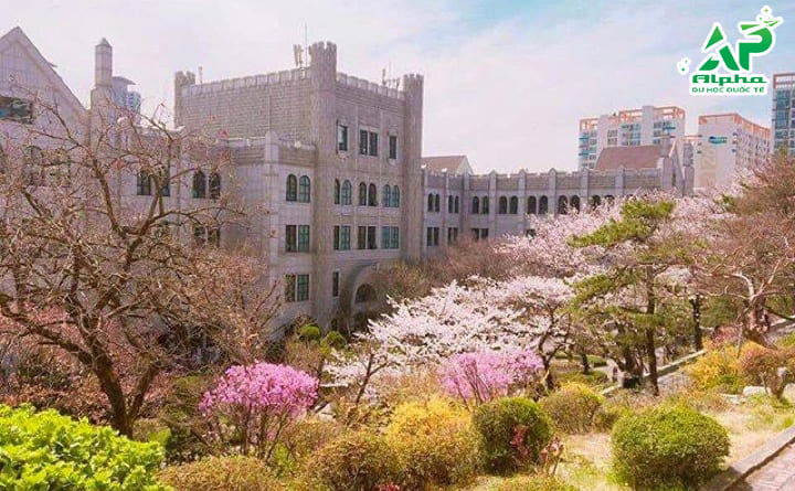 Tổng hợp các trường Đại học ở Seoul Hàn Quốc Đại học Dongduk