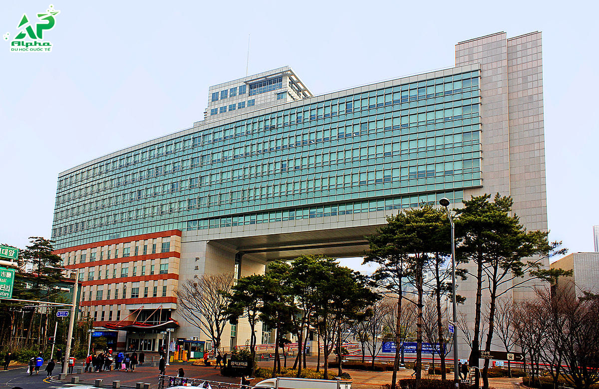 Tổng hợp các trường Đại học ở Seoul Hàn Quốc Đại học Hongik