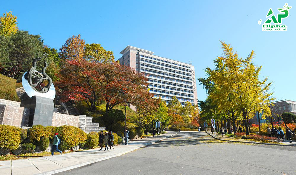 Tổng hợp các trường Đại học ở Seoul Hàn Quốc Đại học Kookmin