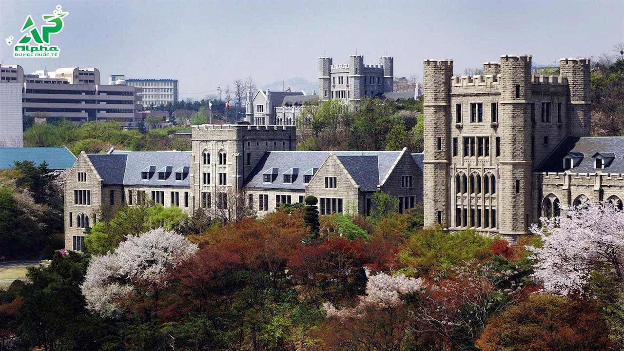 Tổng hợp các trường Đại học ở Seoul Hàn Quốc Đại học Korea