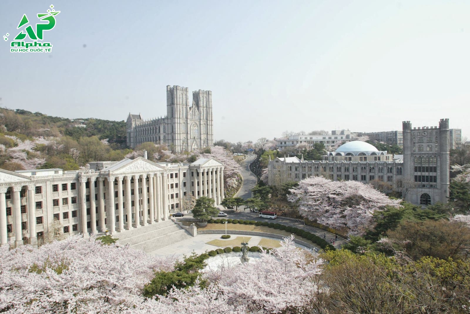 Tổng hợp các trường Đại học ở Seoul Hàn Quốc Đại học Kyung Hee
