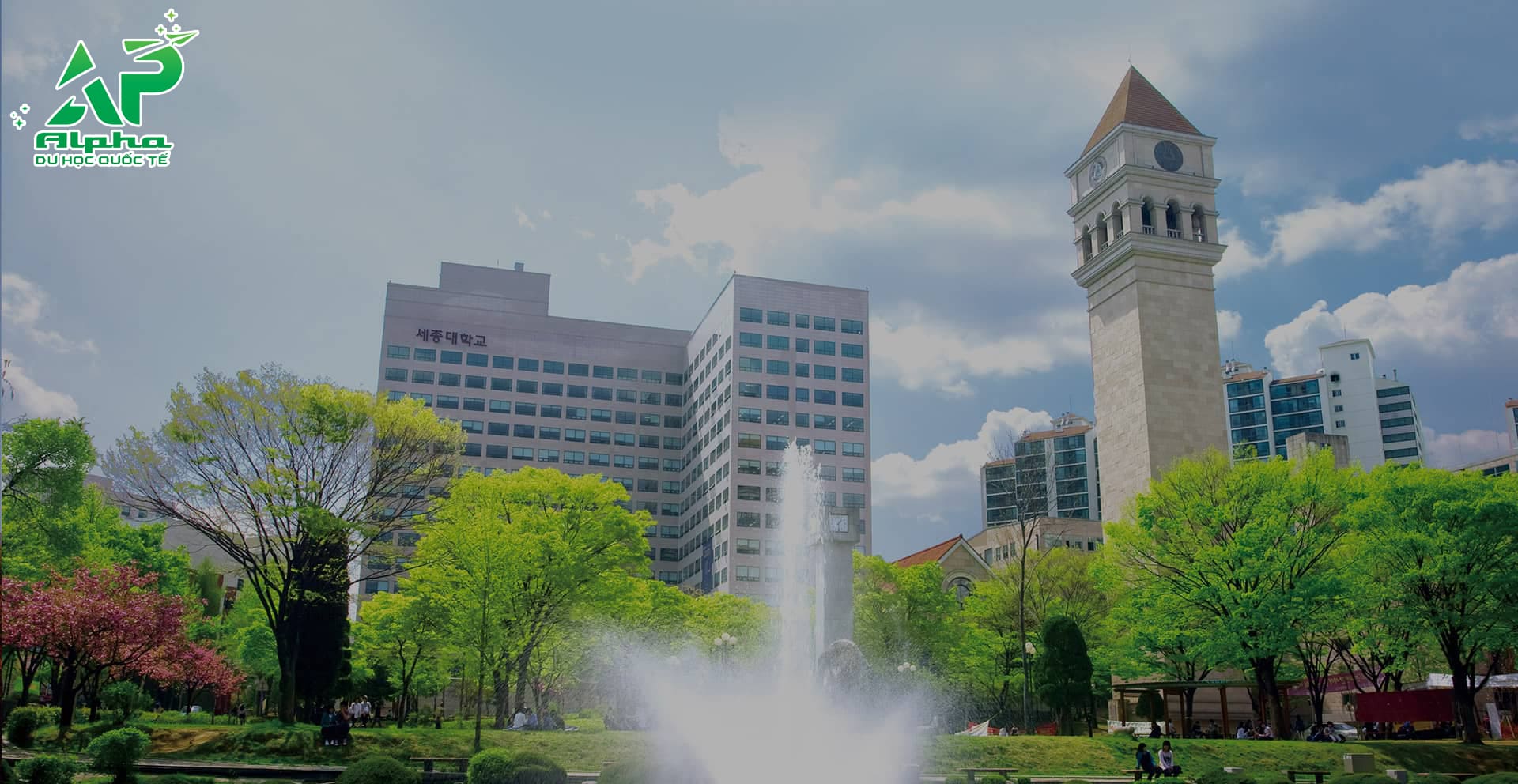 Tổng hợp các trường Đại học ở Seoul Hàn Quốc Đại học Sejong