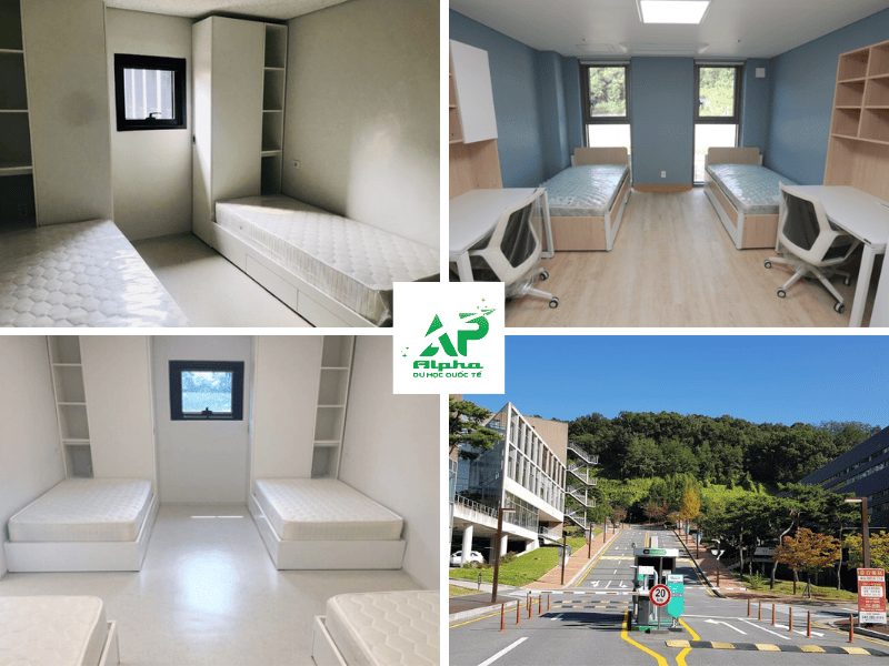 Ký túc xá của trường Đại học Daejeon