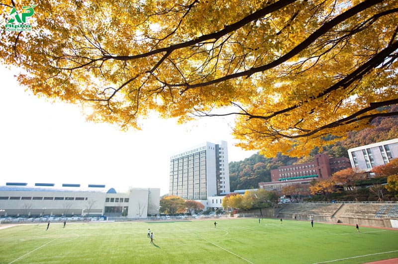 Top các trường Đại học ở Busan được đánh giá cao Đại học Dong A