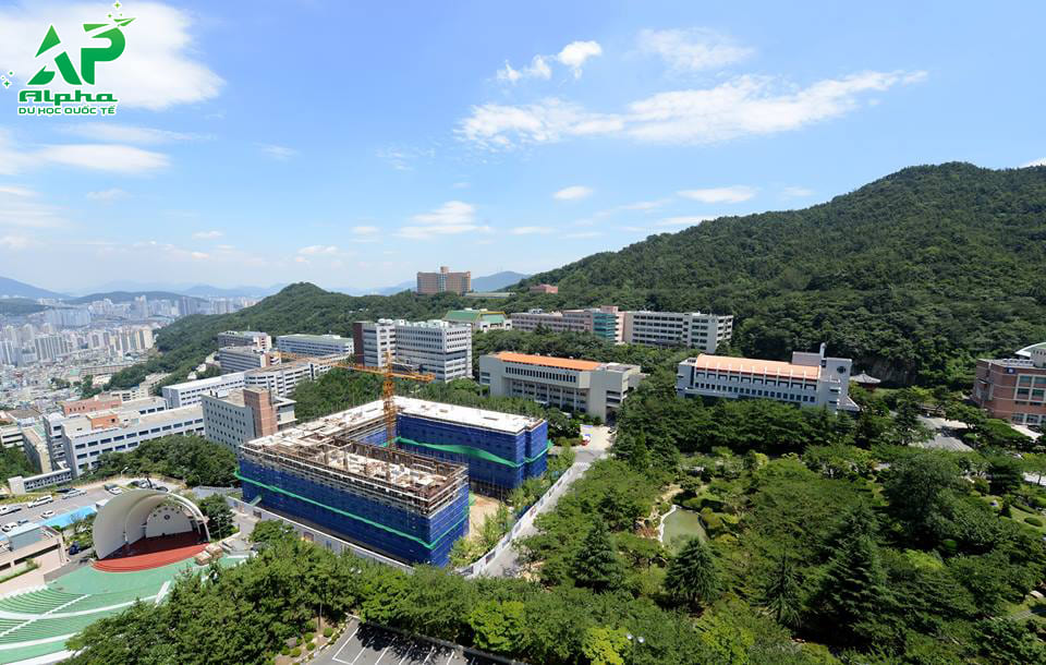 Top các trường Đại học ở Busan được đánh giá cao Đại học Dongeui