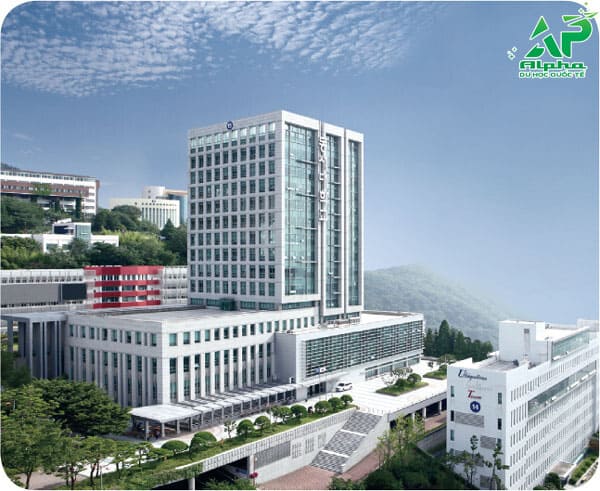 Top các trường Đại học ở Busan được đánh giá cao Đại học Dongseo