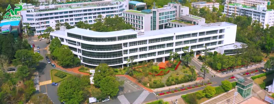 Top các trường Đại học ở Busan được đánh giá cao Đại học quốc gia Busan