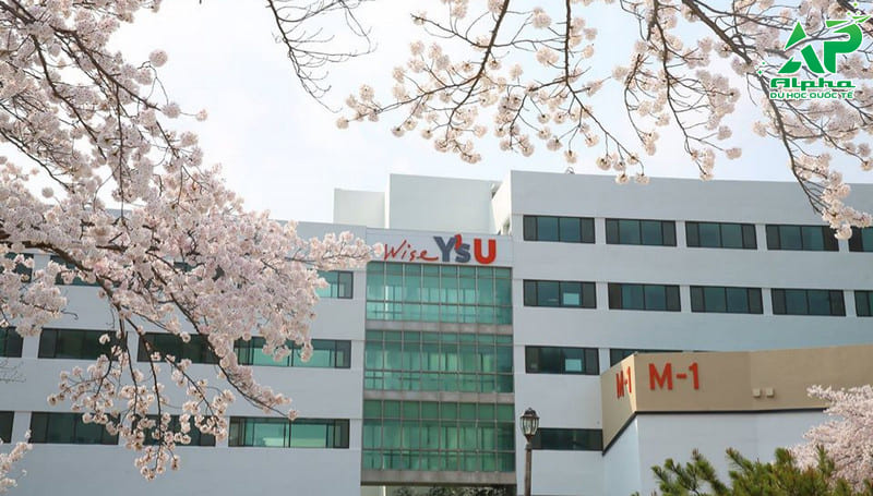 Top các trường Đại học ở Busan được đánh giá cao Đại học Youngsan