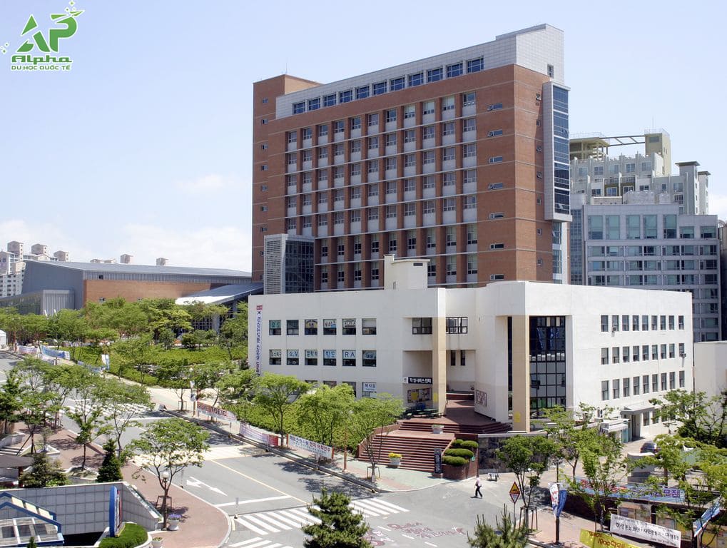 Top các trường Đại học ở Busan được đánh giá cao Kyungsung University
