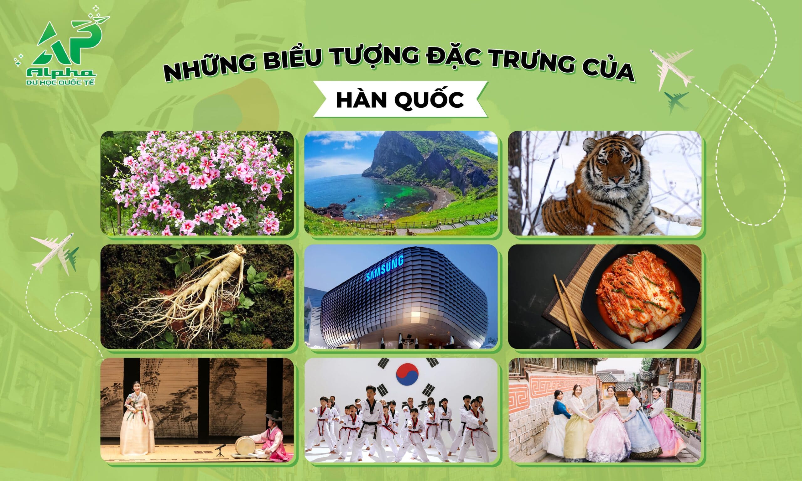 Những biểu tượng đặc trưng của Hàn Quốc