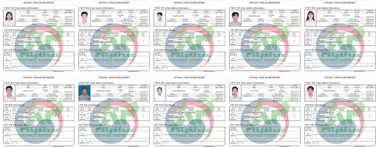 Chứng chỉ Topik