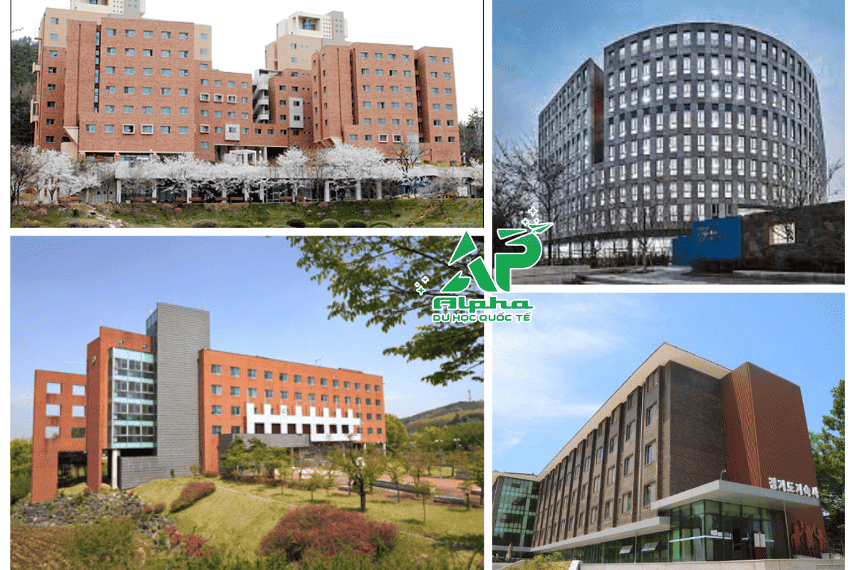 Du học Hàn Quốc có nên ở ký túc xá không? Thiet ke chua co ten