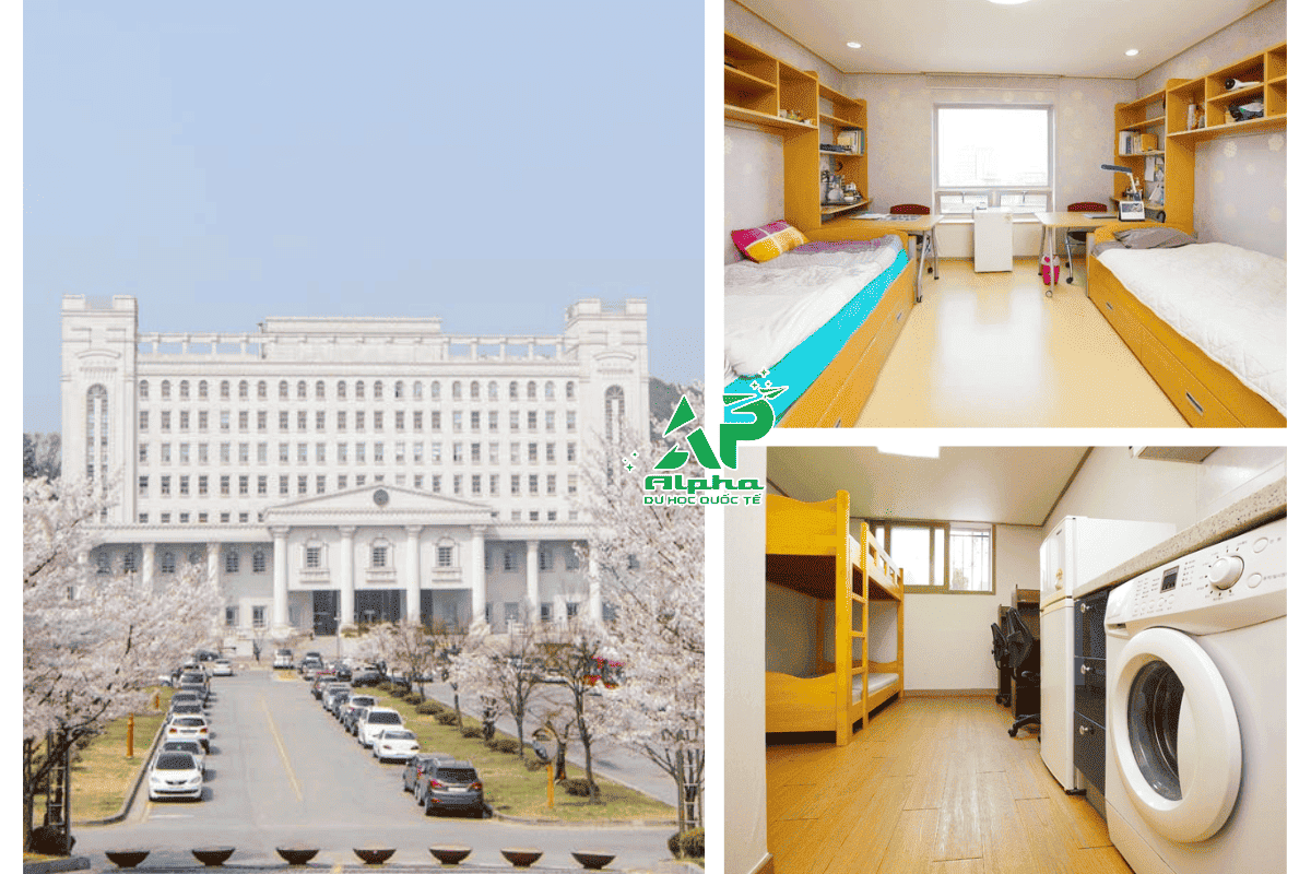 Ký túc xá của trường Đại học Kyunghee trang bị đầy đủ tiện nghi cho sinh viên
