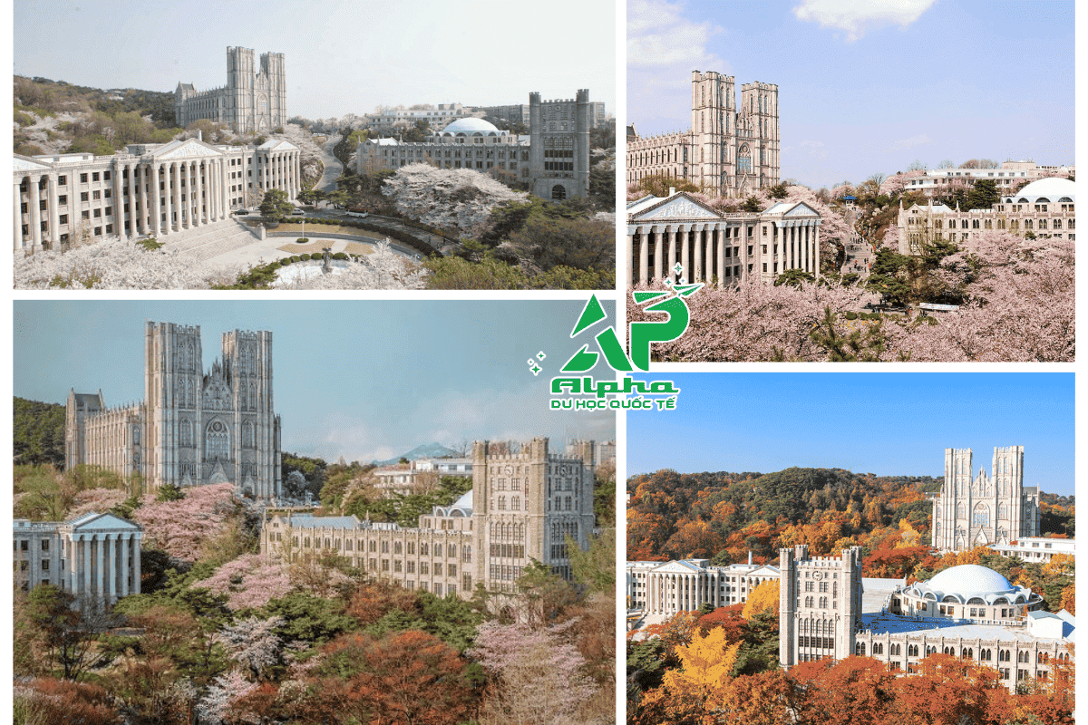 Tổng quan trường đại học Kyunghee