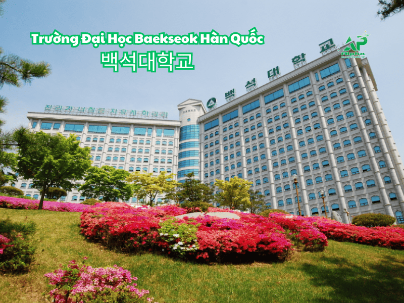 Dai hoc baekseok han quoc 1
