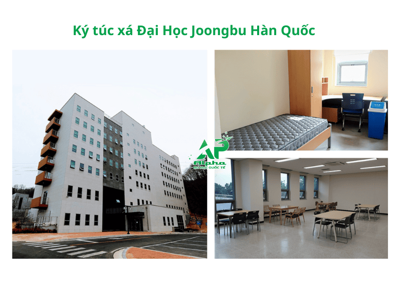 dai hoc joongbu han quoc 5