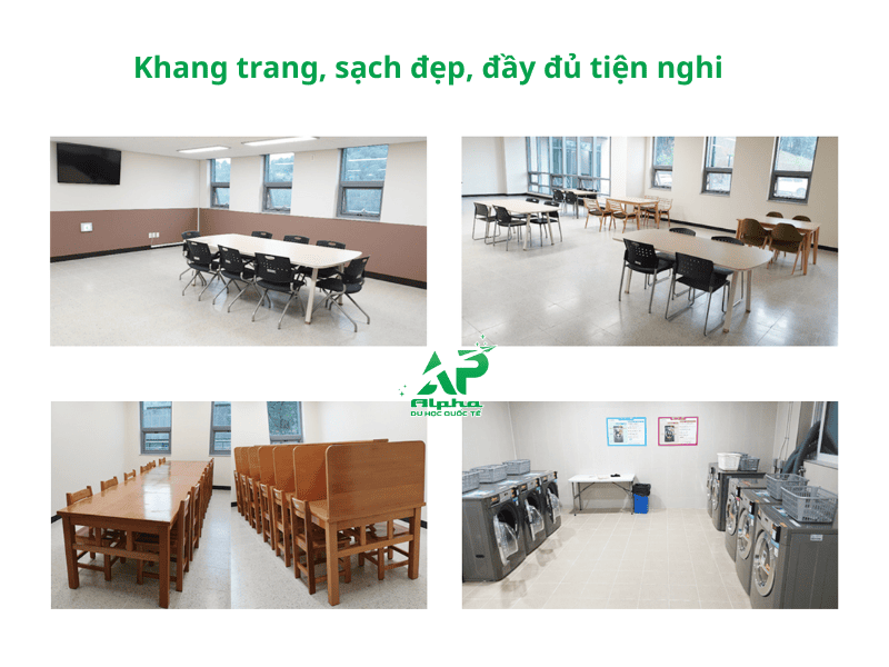 dai hoc joongbu han quoc 6