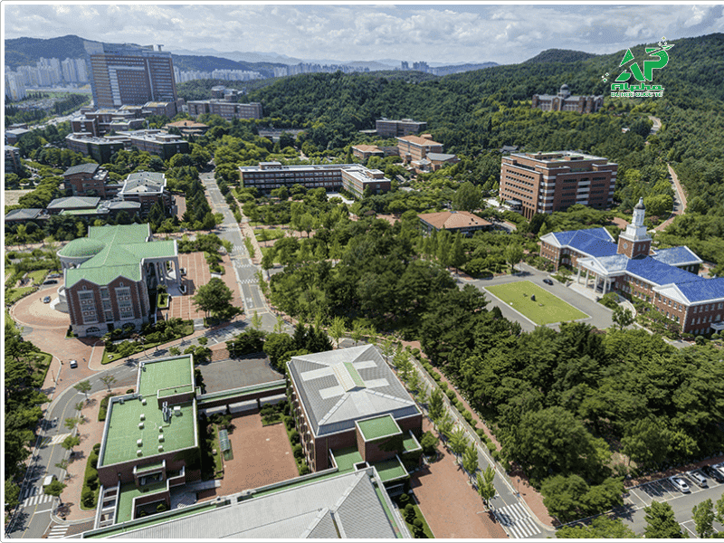 Đại Học Keimyung Đến Du Học Alpha Phỏng Vấn Học Viên keimyung phong van hoc vien du hoc alpha 3