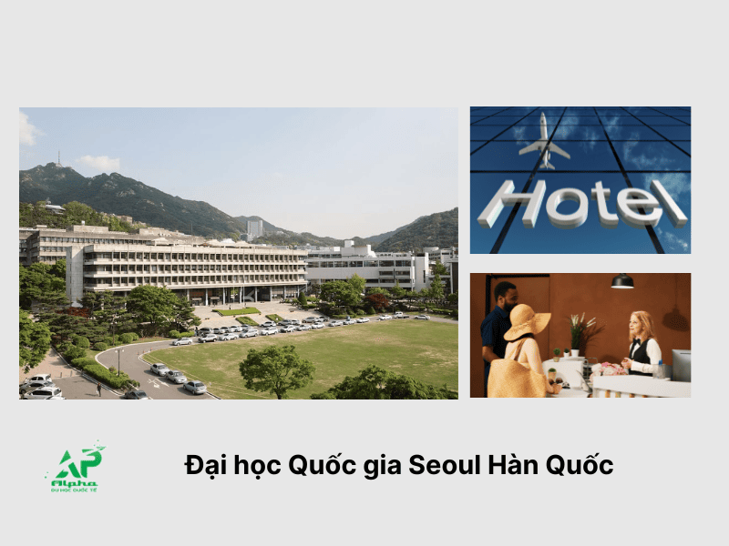top 10 dai hoc han quoc nganh du lich khach san 3