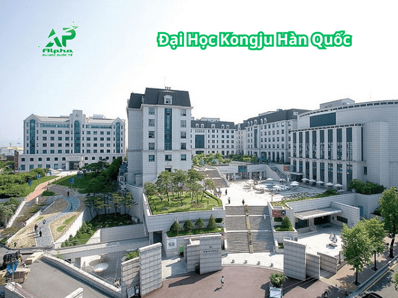 Đại Học Kongju Hàn Quốc - nổi tiếng với ngành Sư Phạm, Kỹ Thuật