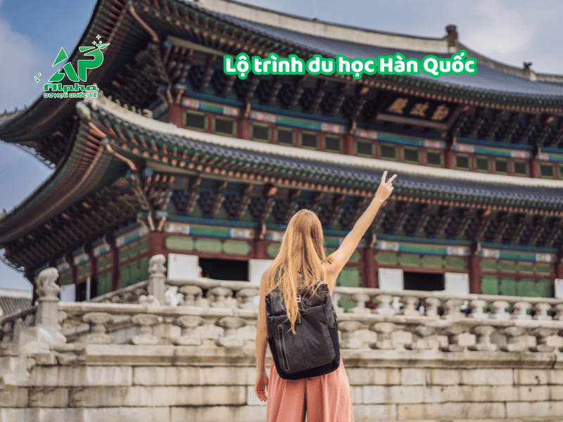 Xác định lộ trình du học Hàn Quốc rõ ràng cùng Alpha