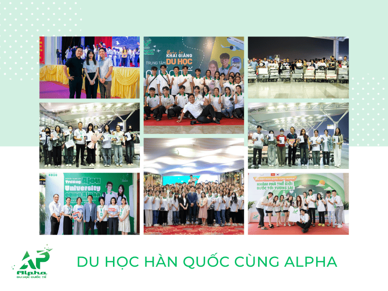 Du học Hàn Quốc cùng trung tâm du học Alpha