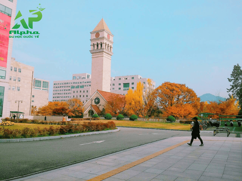 Khuôn viên Đại Học Sejong Hàn Quốc