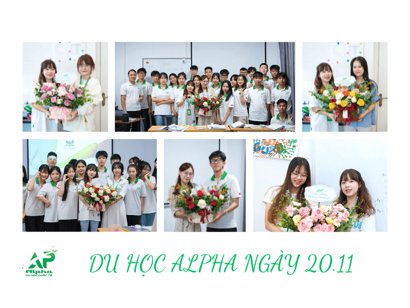 Trung tâm Du Học Alpha chúc mừng các cô giáo nhân dịp 20/11