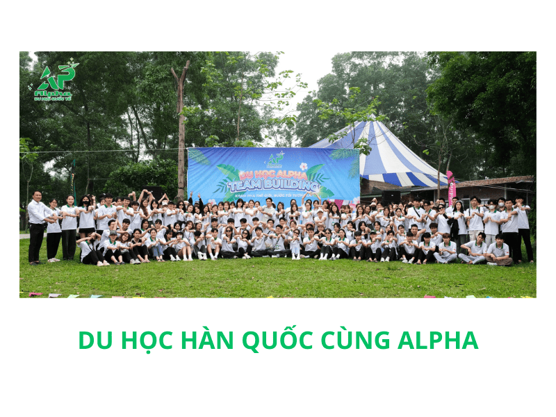 Trung tâm du học Alpha - xử lý hồ sơ du học Hàn Quốc chuyên nghiệp