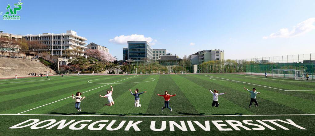 Đại học Dongguk - Ngôi trường mệnh danh là trường đại học Phật giáo Sân bóng của Đại học Dongguk