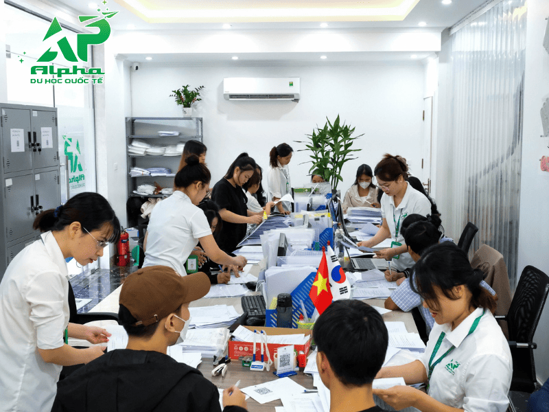 Đội ngũ xử lý hồ sơ chuyên nghiệp và tận tình của Alpha