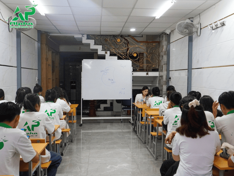 Alpha tư vấn định hướng trường cho học sinh