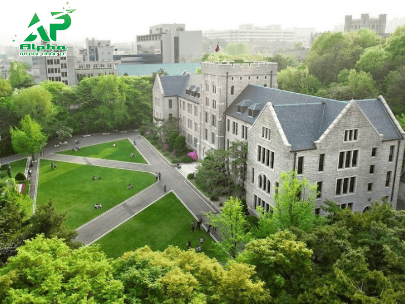 Đại học Korea 