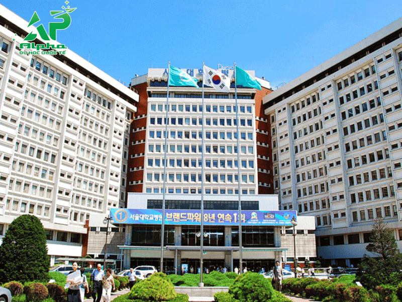 Đại học Quốc gia Seoul 