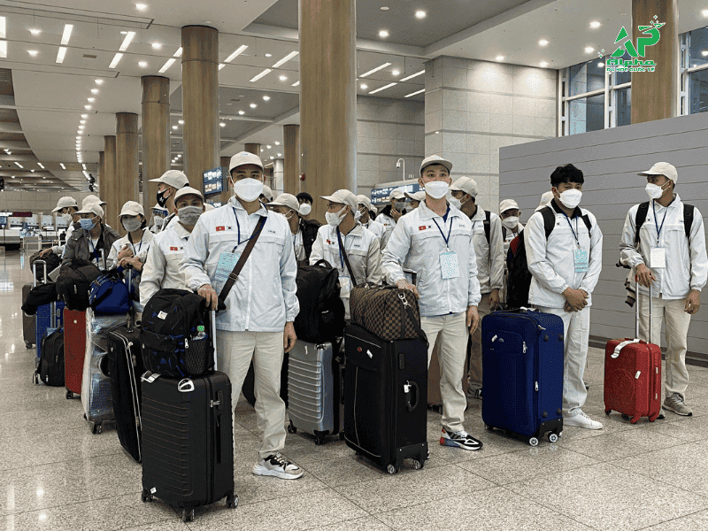 Người lao động đến Hàn Quốc với chương trình XKLĐ