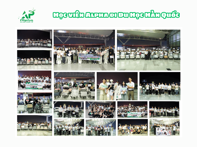 GPA Thấp, Nghỉ 50 Buổi Có Đi Du Học Hàn Quốc được hay không? Học viên Alpha đi Du Học Hàn Quốc thành công