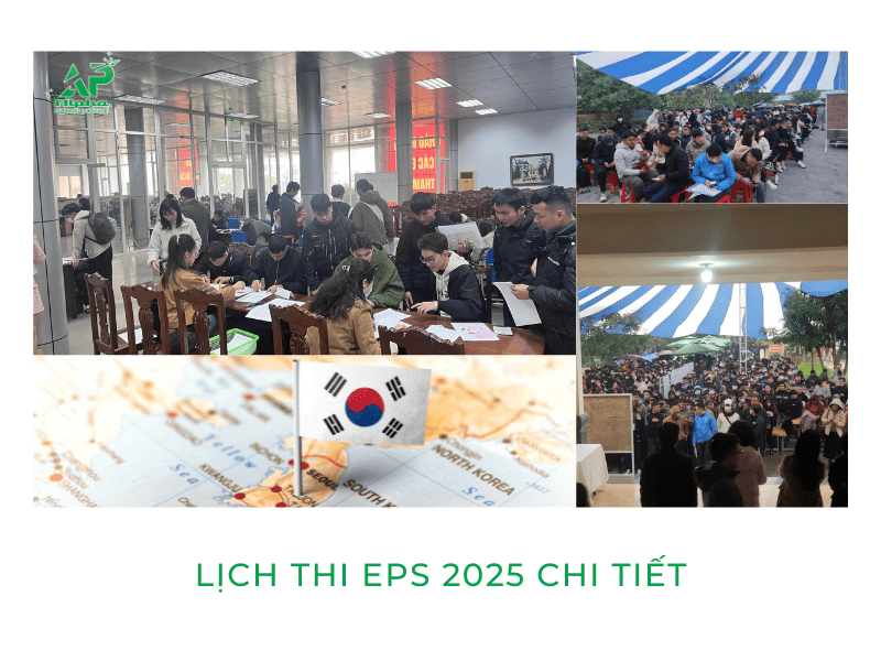 Lịch thi EPS 2025 cập nhật vào ngày 21/04/2025
