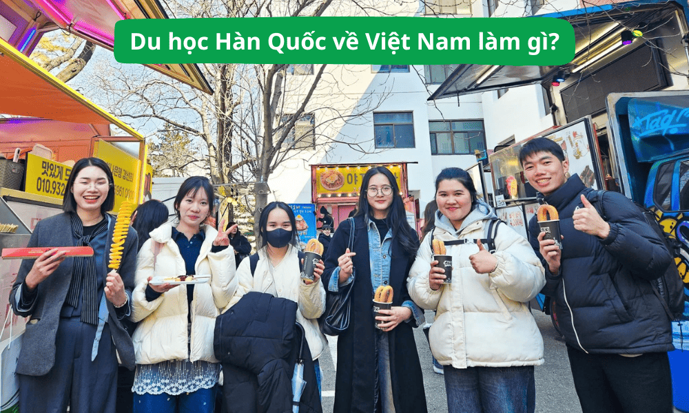 Du học Hàn Quốc về Việt Nam làm gì