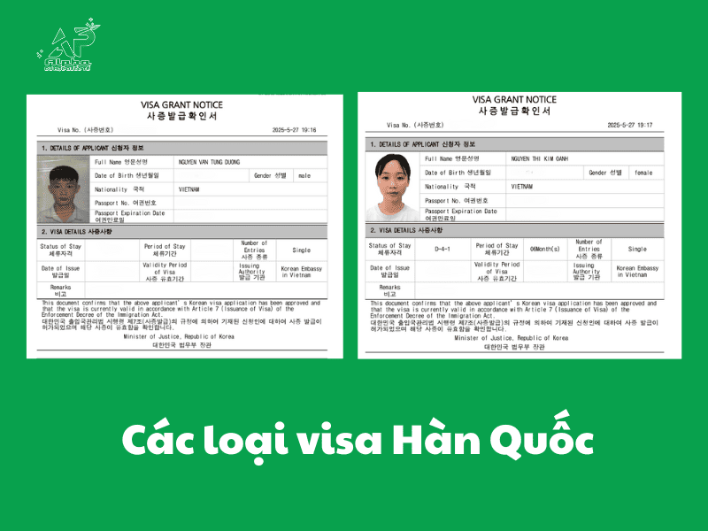 Các loại visa Hàn Quốc hiện nay