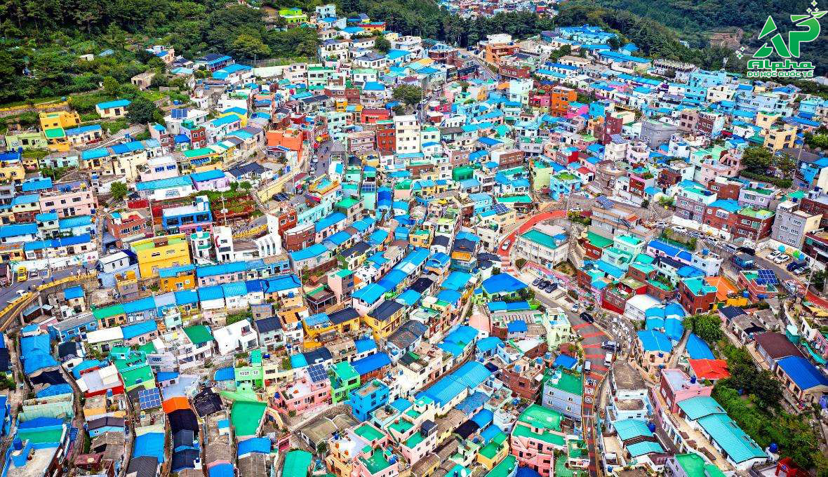 Làng văn hóa Gamcheon đẹp như trong tranh