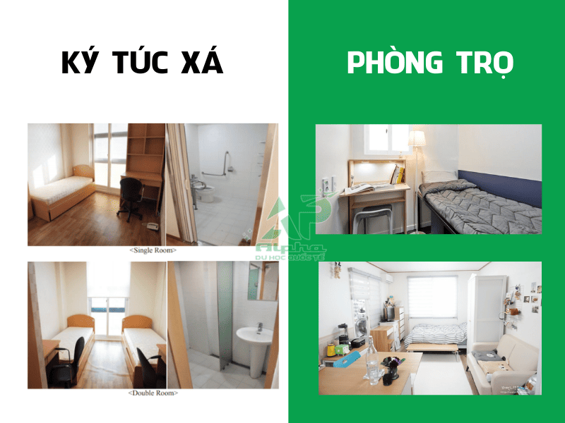 Du Học Hàn: Nên ở ký túc xá hay thuê trọ
