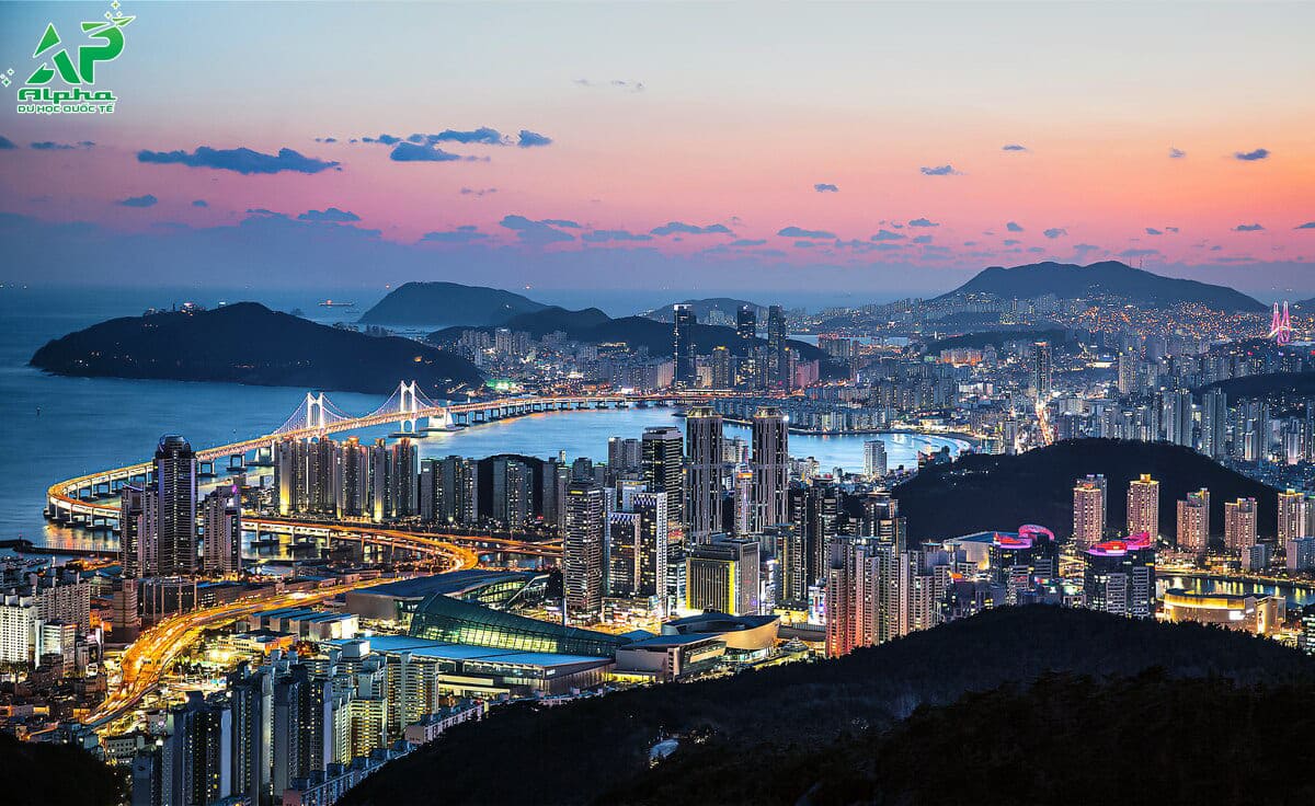 Thành phố Busan nhìn từ trên cao