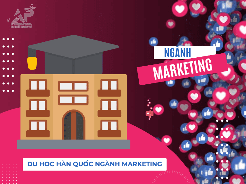 Du Học Hàn Quốc Ngành Marketing tại Hàn Quốc