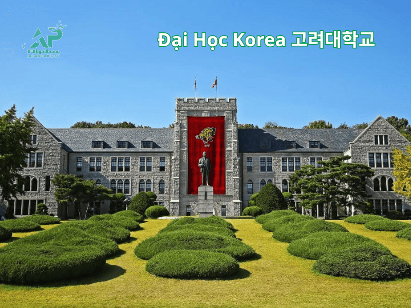 Đại Học Korea - Nổi Tiếng Ngành Marketing Tại Hàn Quốc