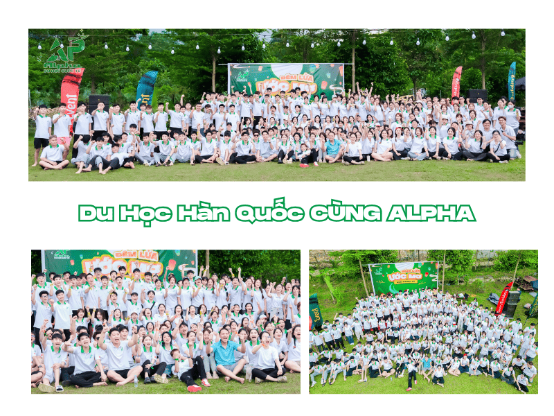 Du Học Hàn Quốc cùng Alpha