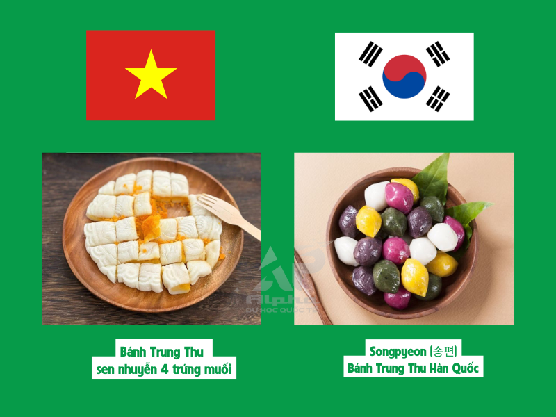 Hương vị đặc trưng Tết Trung Thu Việt Nam và Tết Trung Thu Hàn Quốc