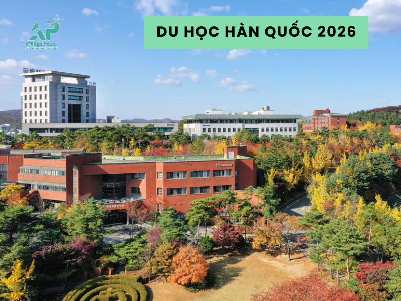 Chương trình du học Hàn Quốc hệ tiếng 2026