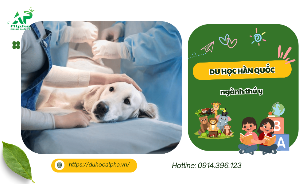 Du học Hàn Quốc ngành thú y có thể bạn chưa biết Du học Hàn Quốc ngành thú y